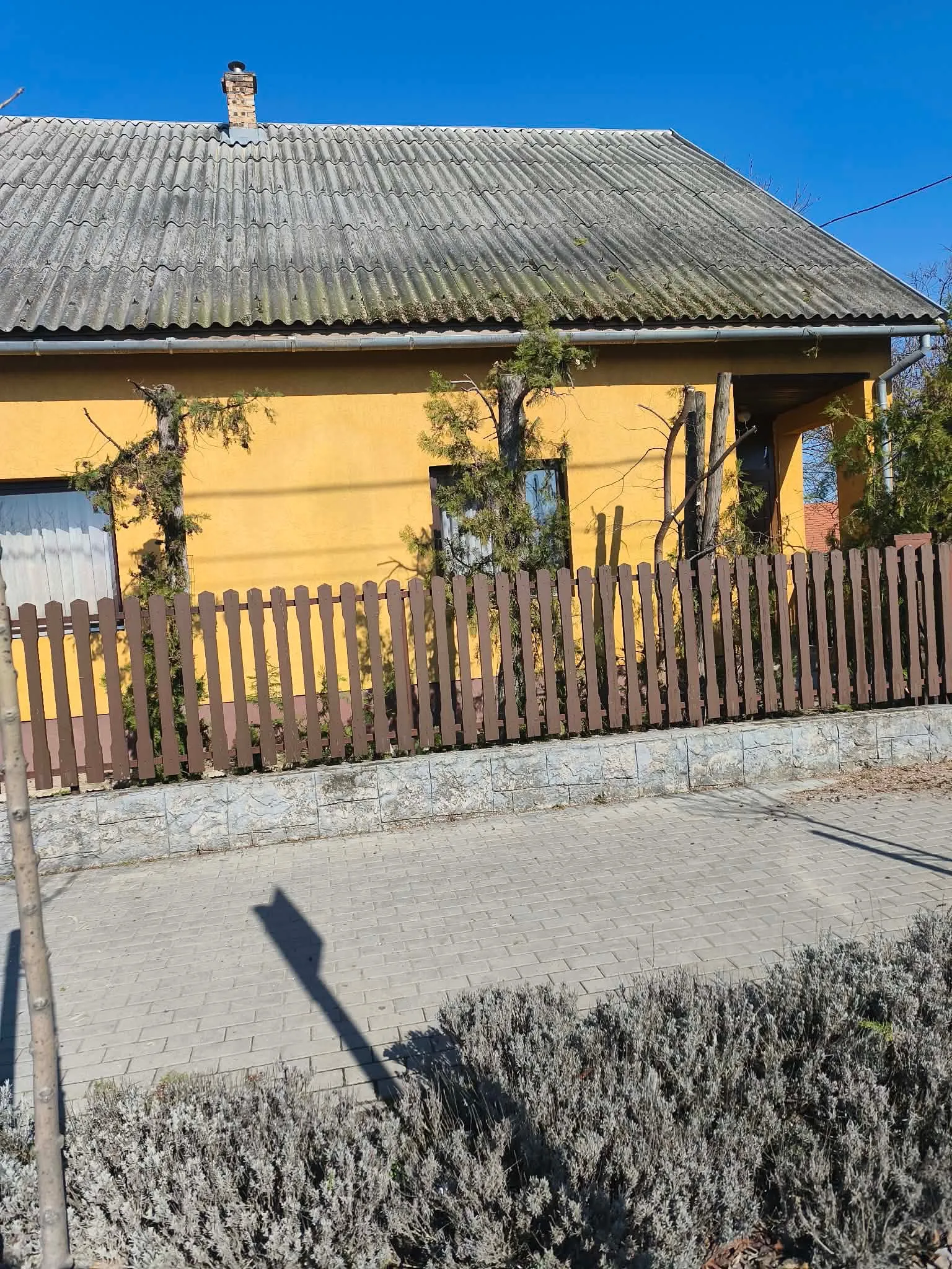 Jakab Fakivágás – 5. fotó