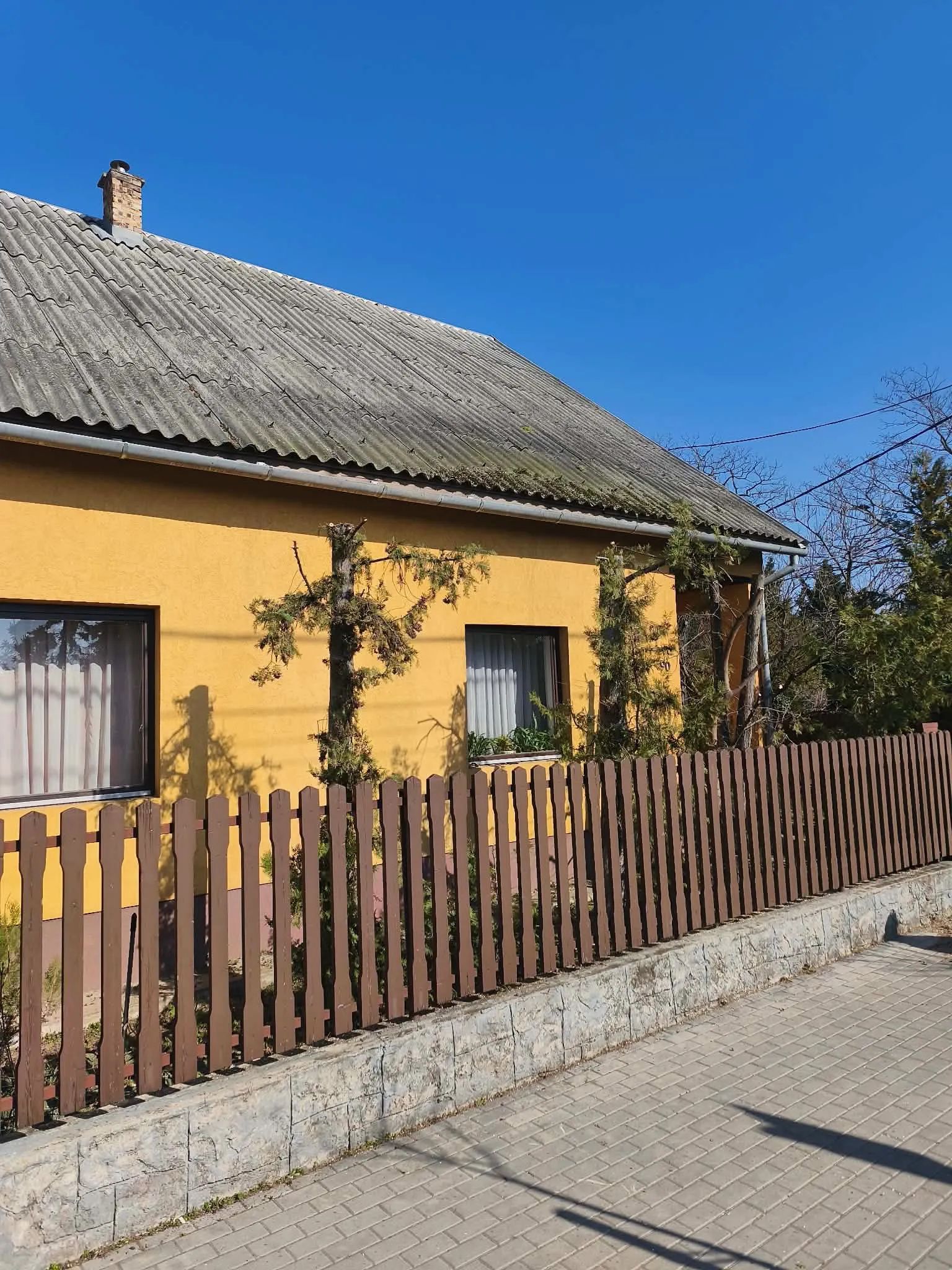 Jakab Fakivágás – 10. fotó